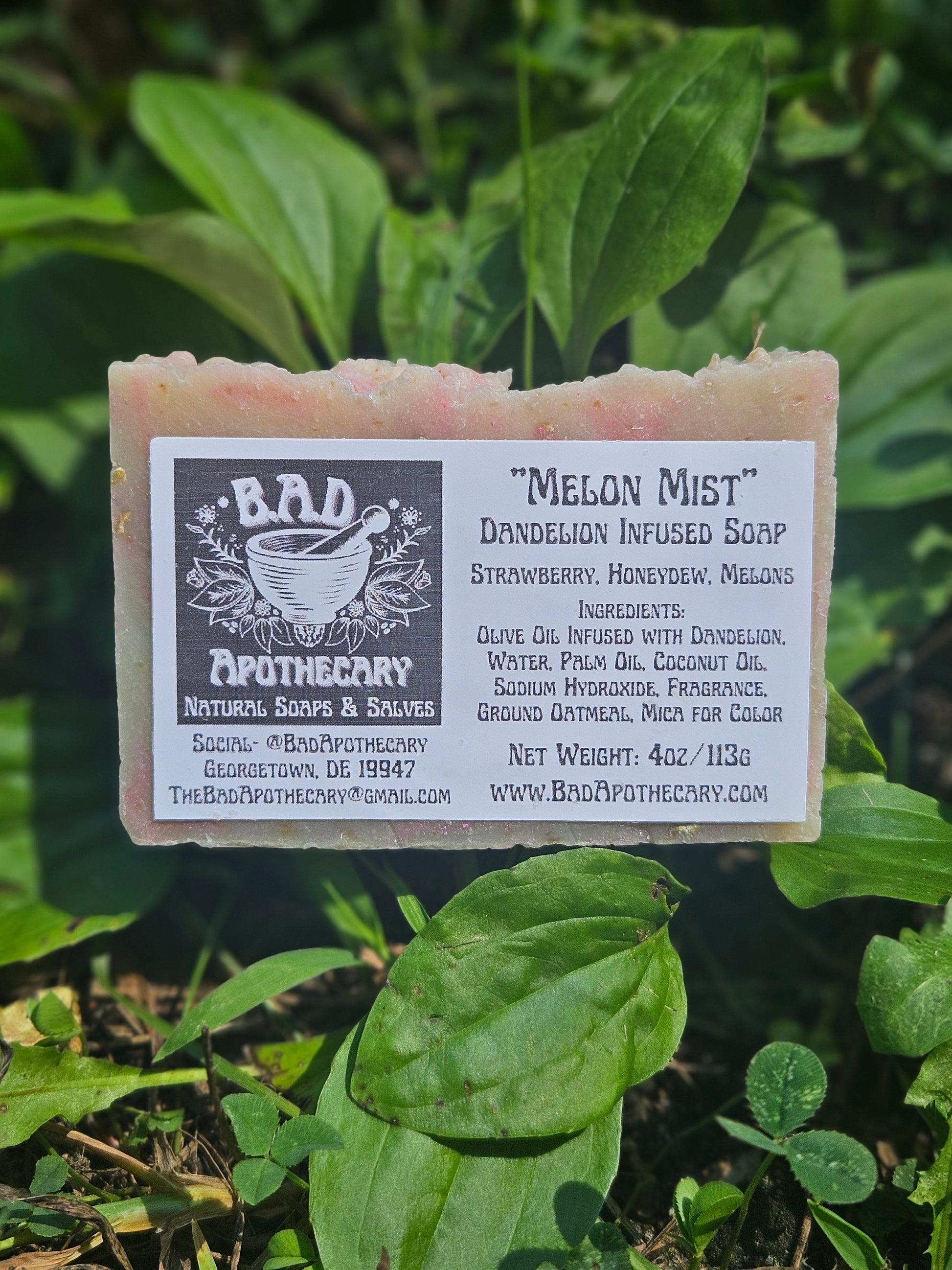 Melon Mist Dandelion-Infused Soap, Herbal Artisan Bar Soap by B.A.D. Apothecary