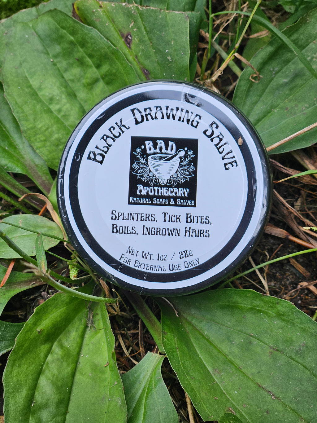 Black Drawing Salve, All Natural and Wildcrafted Drawing Salve, with Plantain and Comfrey by B.A.D. Apothecary
