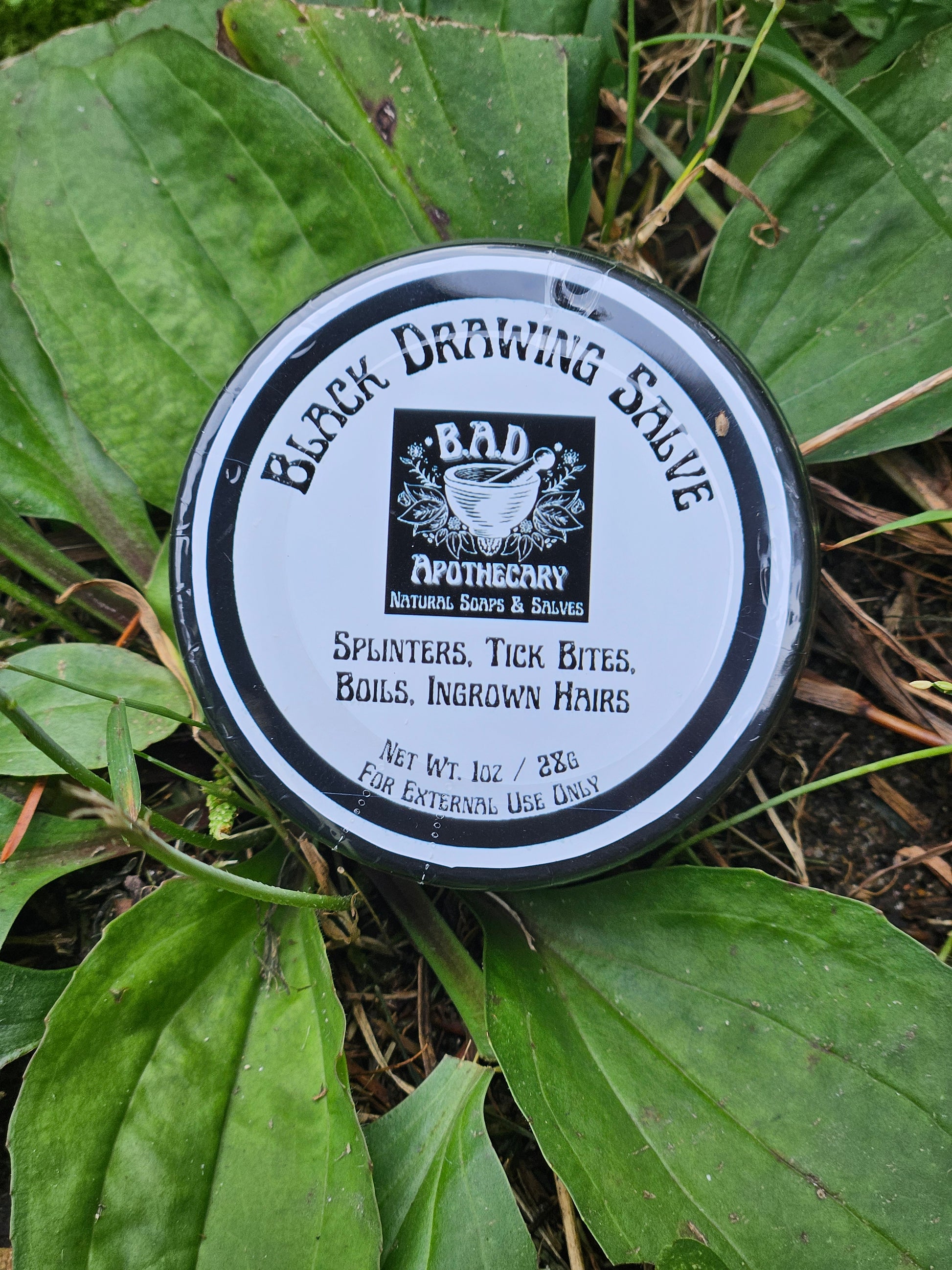 Black Drawing Salve, All Natural and Wildcrafted Drawing Salve, with Plantain and Comfrey by B.A.D. Apothecary