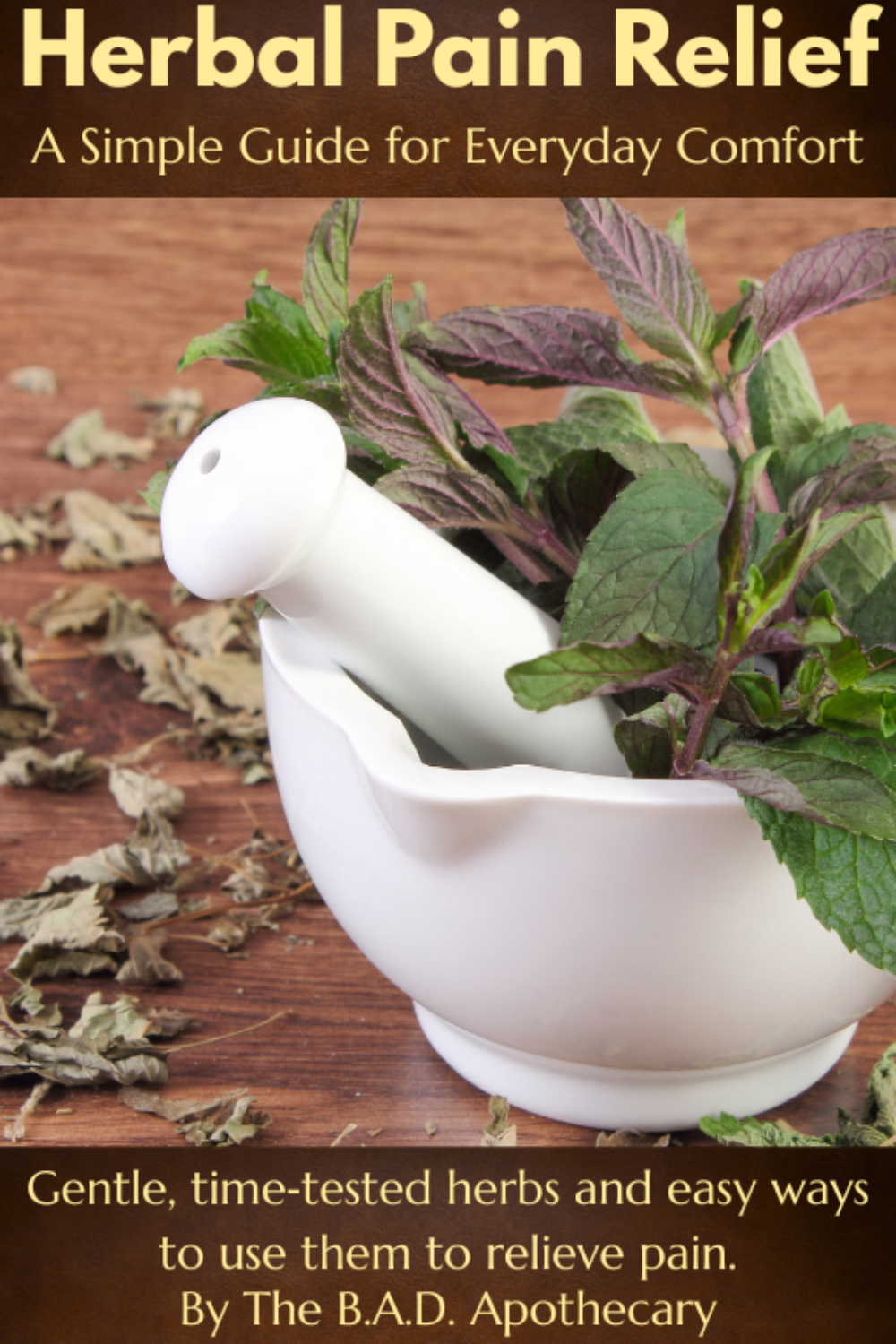 Herbal Pain Relief: A Simple Guide for Everyday Comfort — Mini Guide (10 Pages)